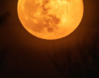 Leuchtender orangefarbener Vollmond am dunklen Nachthimmel.