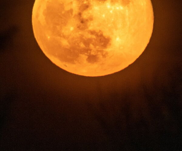 Leuchtender orangefarbener Vollmond am dunklen Nachthimmel.